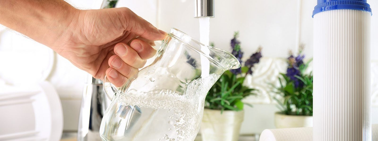 Filling a Glass Pitcher with Filtered Tap Water